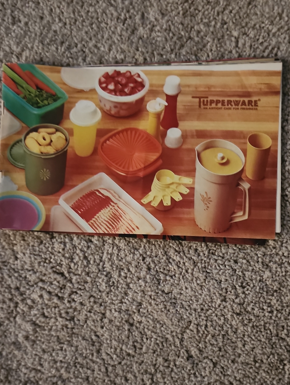 VTG 1973 Tupperware Product Catalog Brochure Retro Home Party Ephemera

Descript